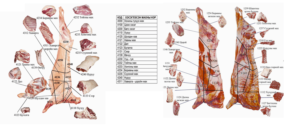 Meat Cuts Diagram